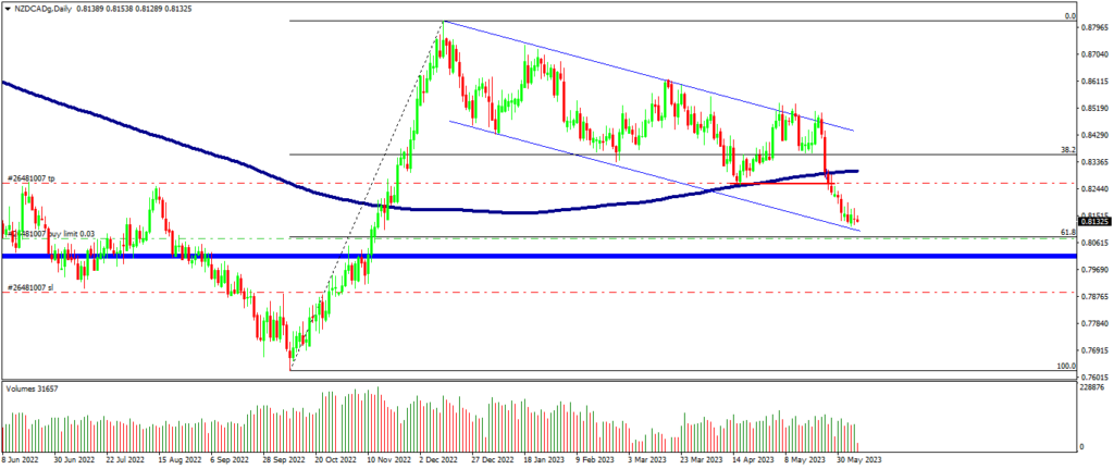 Canal de Continuación en NZDCAD