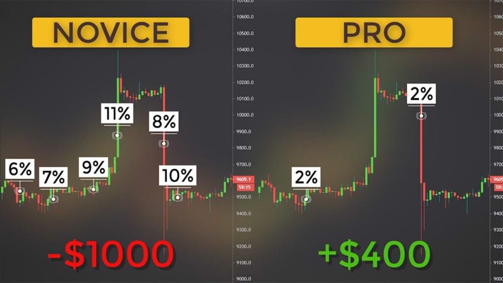 risk management pro versus novice result charts 